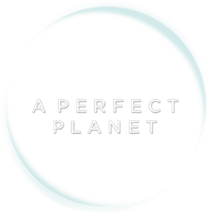 A Perfect Planet