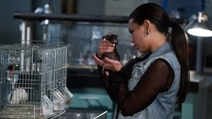 Pretty Little Liars: Stagione 6 – Episodio 6