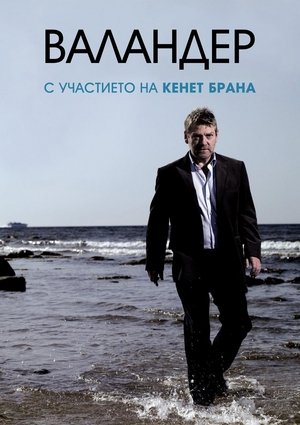 Wallander poster