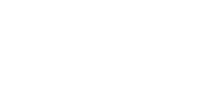 Héroes Pokémon — Logos 1