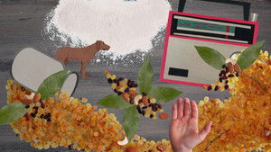 Everything That Isn’t Allowed