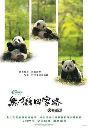 Poster 熊猫回家路 2009