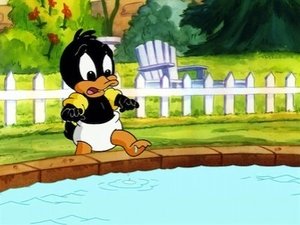 Baby Looney Tunes: 1×4