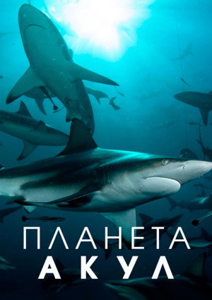 Планета акул