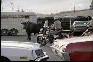CHiPs: Season6 – Episode14