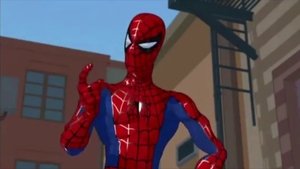 Spider-Man: The New Animated Series