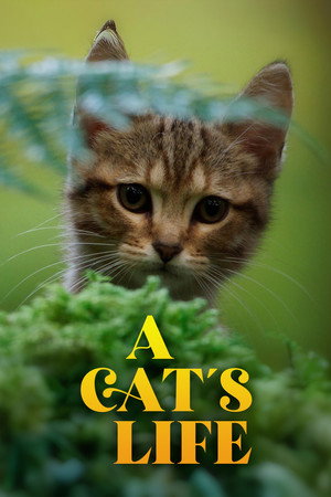 A Cat's Life 27