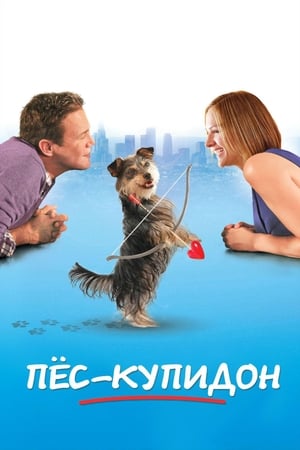 Poster Пес-купидон 2012