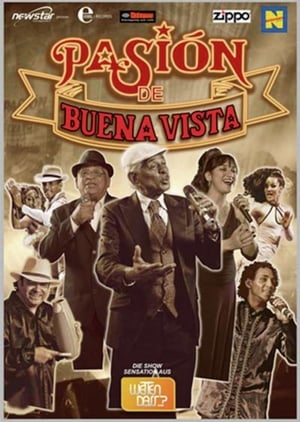 Poster Pasion De Buena Vista (2012)