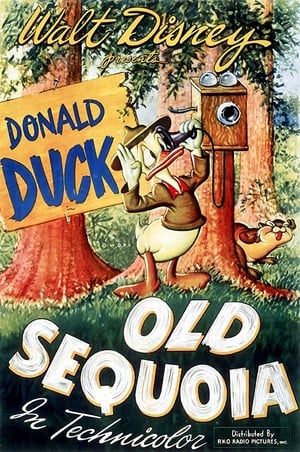 Poster Le Vieux Séquoia 1945