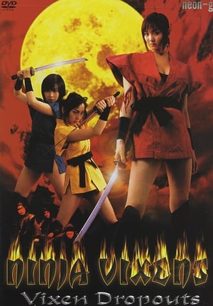 Ninja Vixens: Vixen Dropouts poster