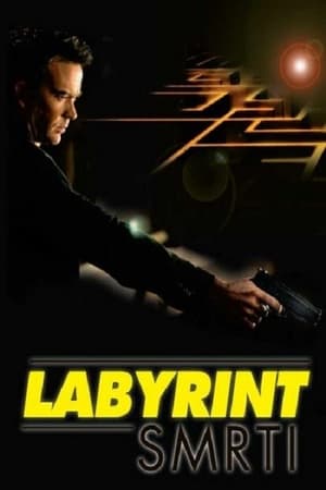 Poster Labyrint smrti 2006