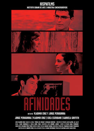 Poster Afinidades 2011