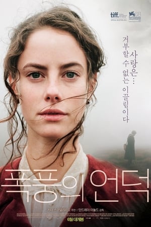 Poster 폭풍의 언덕 2011