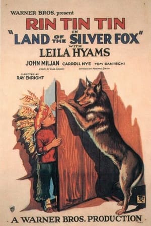 Poster Land of the Silver Fox (1928)