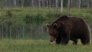 Mountain Men Meltdown: Tornado Alley