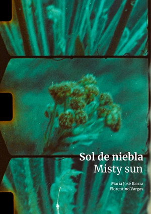 Sol de niebla