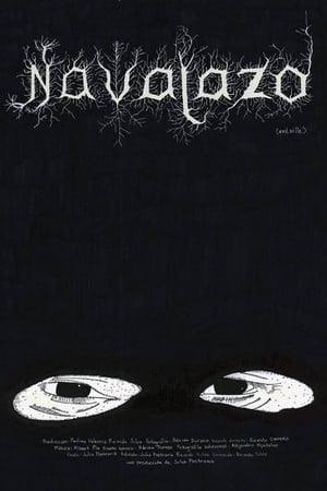 Poster Navajazo (2014)