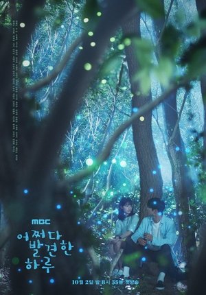 Poster 어쩌다 발견한 하루 2019