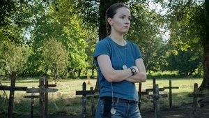 The Last of Us Season 2 Episode 1