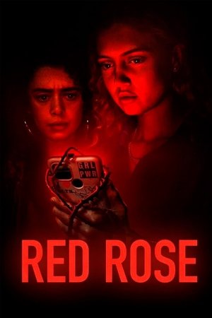 Image Red Rose