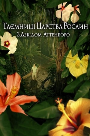 Poster Таємниці царства рослин 2012