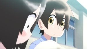 Jijou wo Shiranai Tenkousei ga Guigui Kuru. 1×8