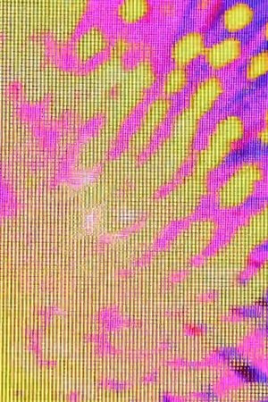 Grids