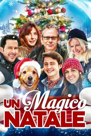 Poster Un magico Natale 2014