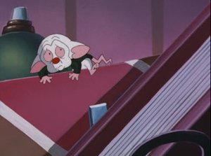 Pinky & der Brain: 3×27