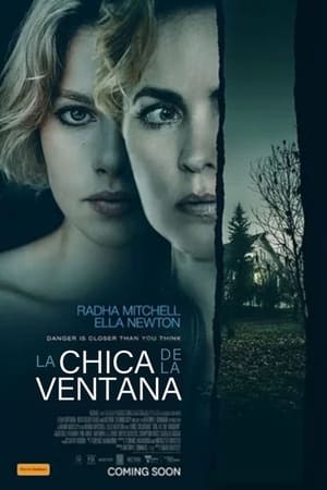 Poster La chica de la ventana 2022