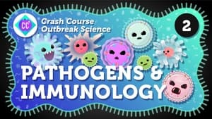 Crash Course Outbreak Science How Do Outbreaks Start?