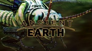 What Killed The Giant Insects