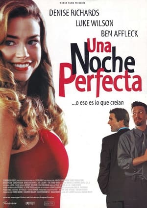 Una noche perfecta