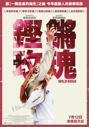 Poster 野玫瑰 2019