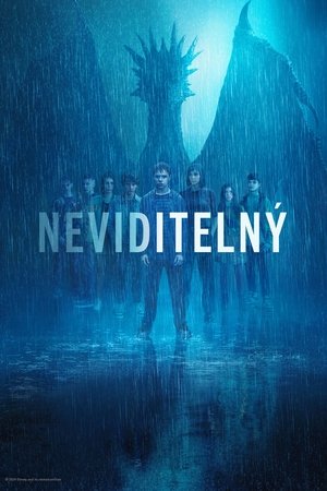 Image Neviditelný