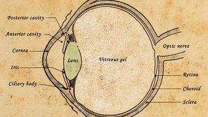 Cairo, al-Haytham, and the Book of Optics