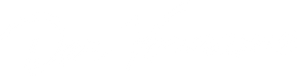 Qual É o Nome do Bebê — Logos 2