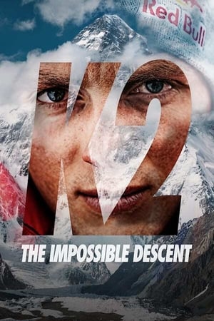 K2: The Impossible Descent 2020
