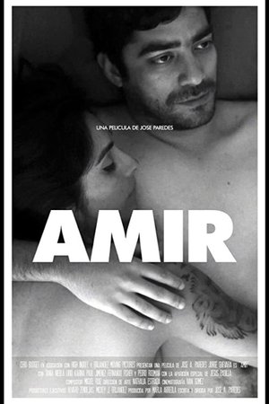 Poster Amir (2016)