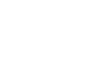 RoboGobo — Logos 9