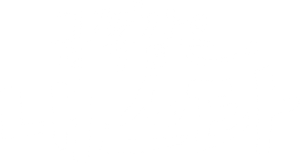 금쪽같은 내 스타 — Logos 2