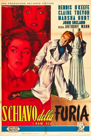 Poster di Schiavo della furia