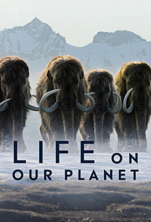 Life on Our Planet 25