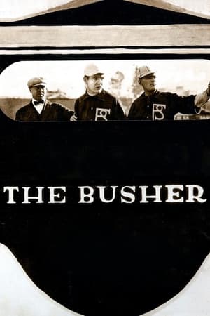 Poster The Busher (1919)