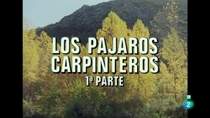 Episode 41