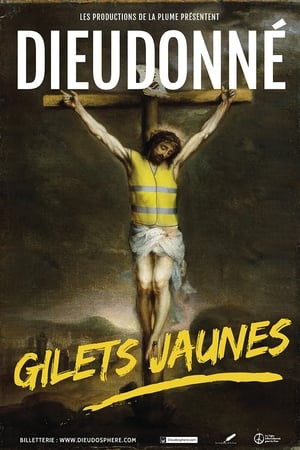 Image Dieudonné - Gilets Jaunes