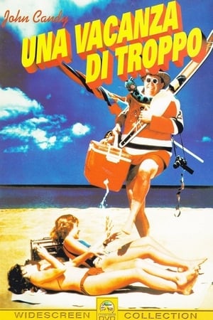 Poster Una vacanza di troppo 1985