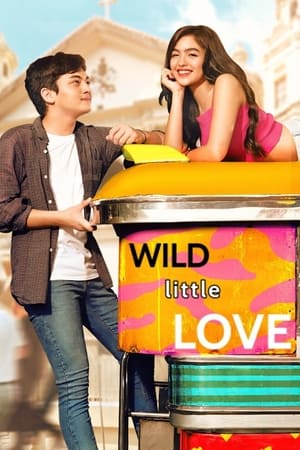 Poster Wild Little Love 2019