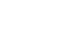 Collide